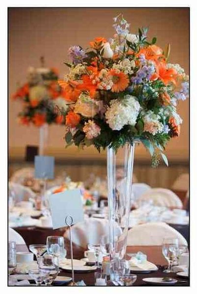 Robin Shotola Photography & Design